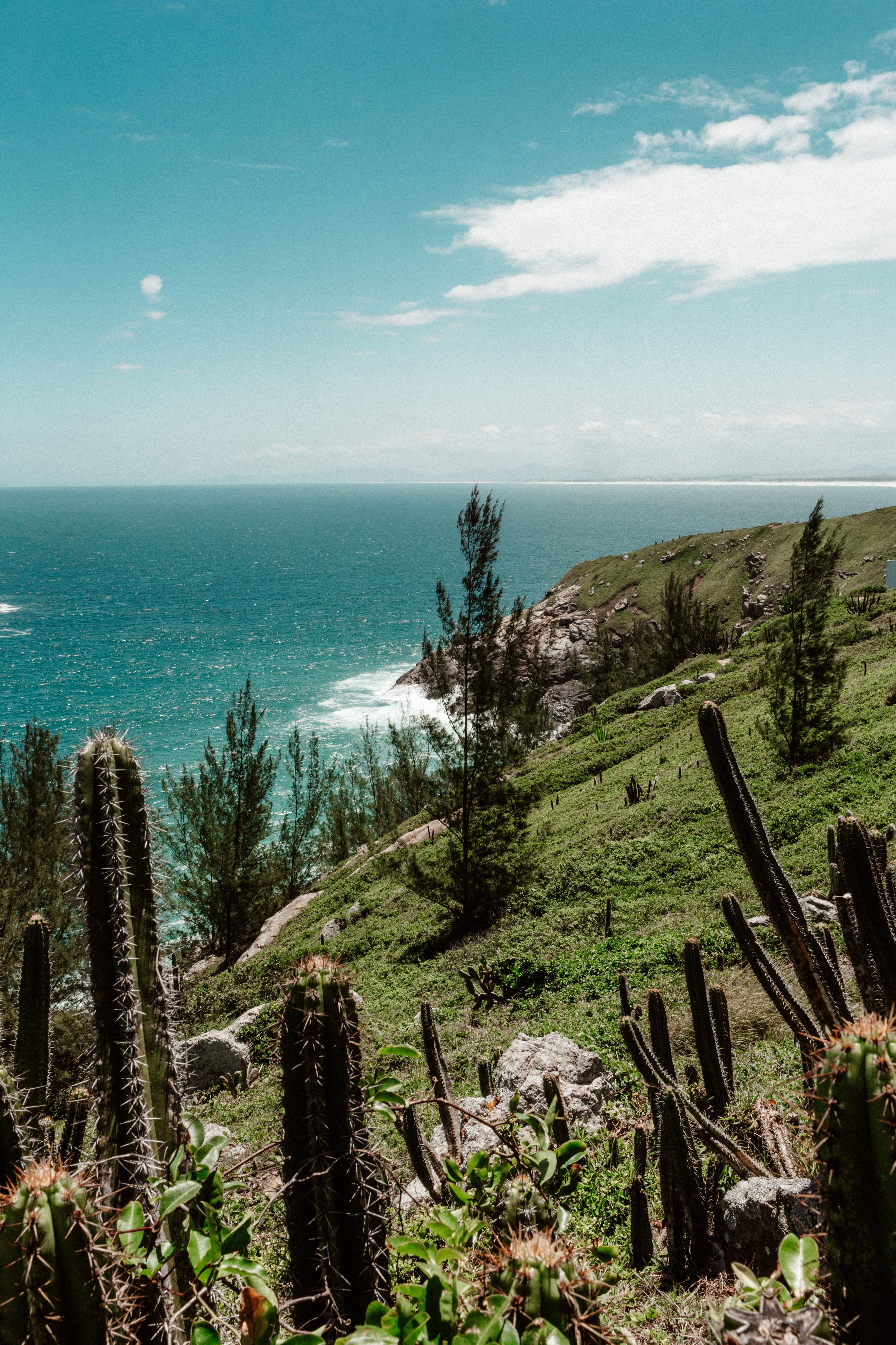 Trilha em Arraial do Cabo, experiência na natureza